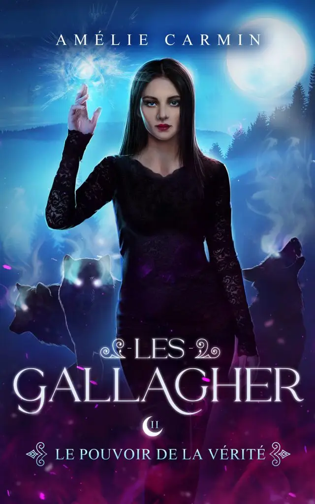 Commande - Les Gallagher - Tome 2
